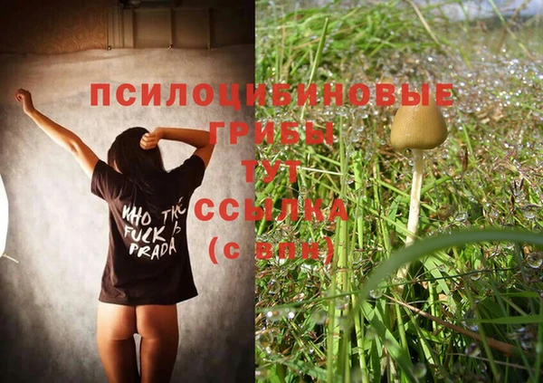 крисы Волосово