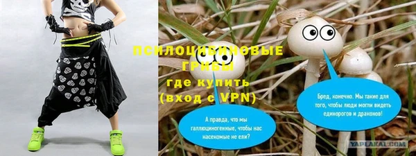 мдпв Вязьма