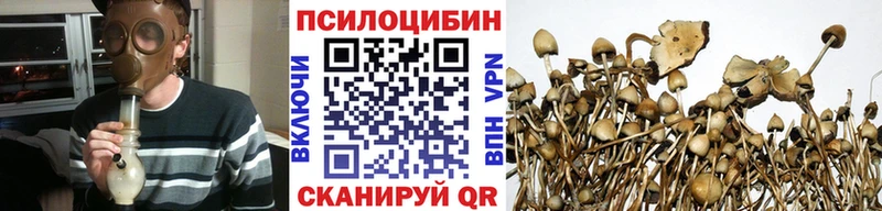 Псилоцибиновые грибы GOLDEN TEACHER mega ссылки Донской закладки